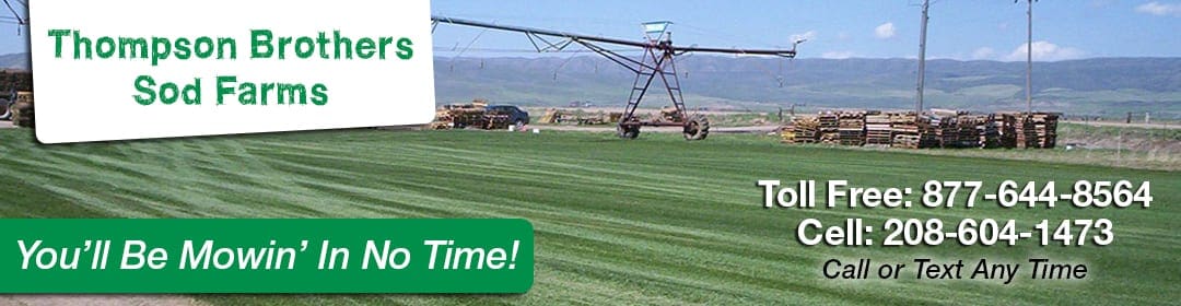 Thompson Brothers Sod Farms Thompson Brothers Sod Farms