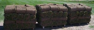 Stacked Sod