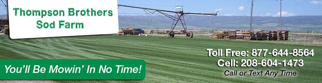 Thompson Brothers Sod Farms Thompson Brothers Sod Farms