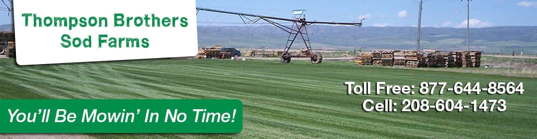 Thompson Brothers Sod Farms Thompson Brothers Sod Farms