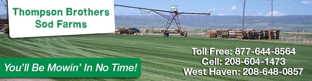 Thompson Brothers Sod Farms Thompson Brothers Sod Farms