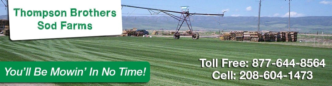 Thompson Brothers Sod Farms