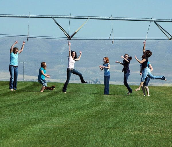 Family & dog playing on the grass