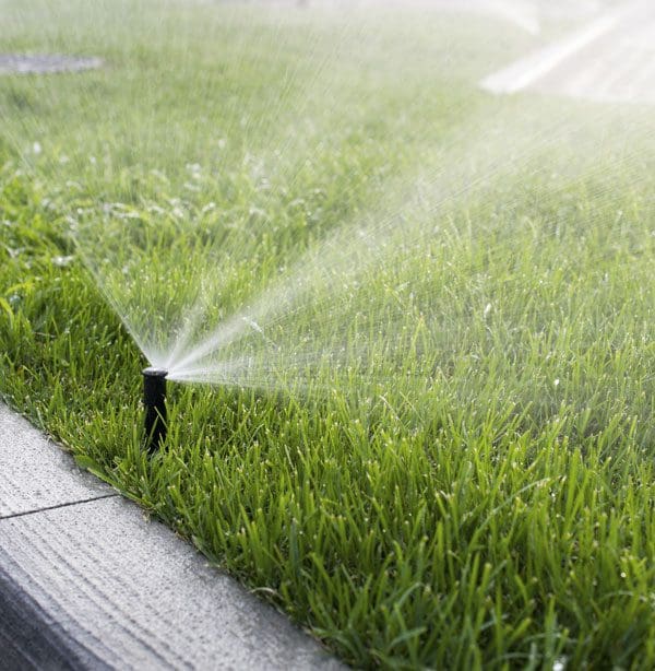 Sprinkler Watering