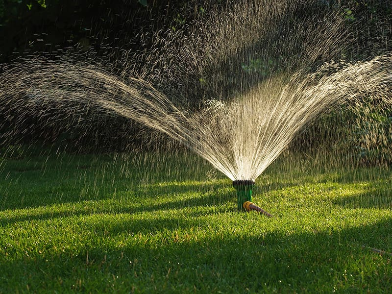 Water-Wise Lawn Care in Utah: Keep Your Thompson Brothers Sod Healthy & Green