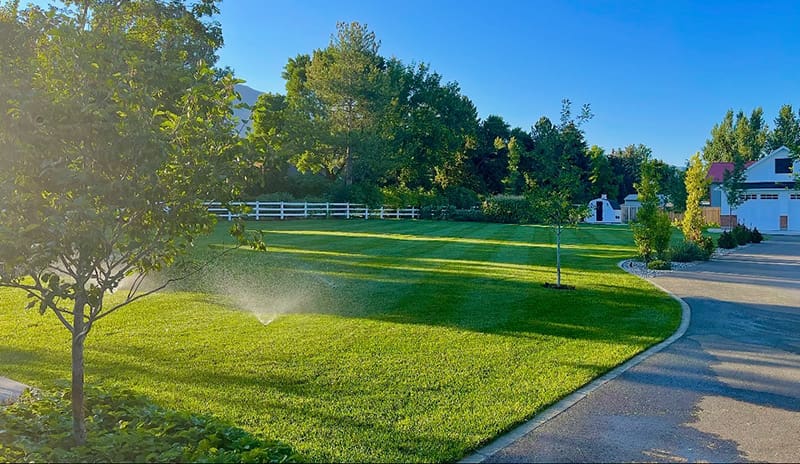 Lush expanse of freshly mown kentucky blue grass being watered Lush expanse of freshly mown kentucky blue grass being watered